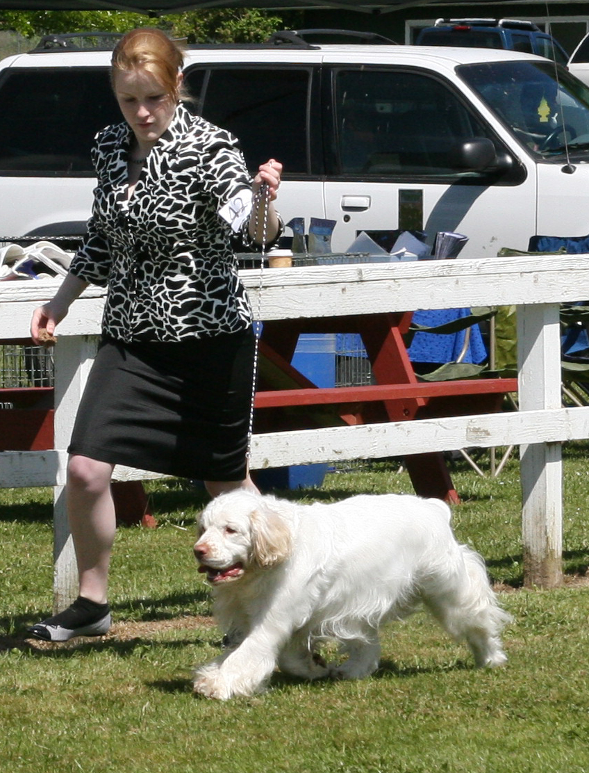 Kellyn Miller and Ella the Clumber Spaniel